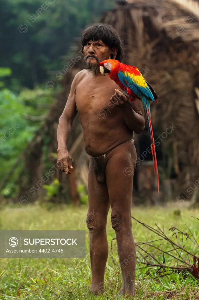 Huaorani Indian man, Megatowe Ontogamo, with his pet scarlet macaw (Ara macao). Gabaro Community, Yasuni National Park, Amazon rainforest, Ecuador, South America.