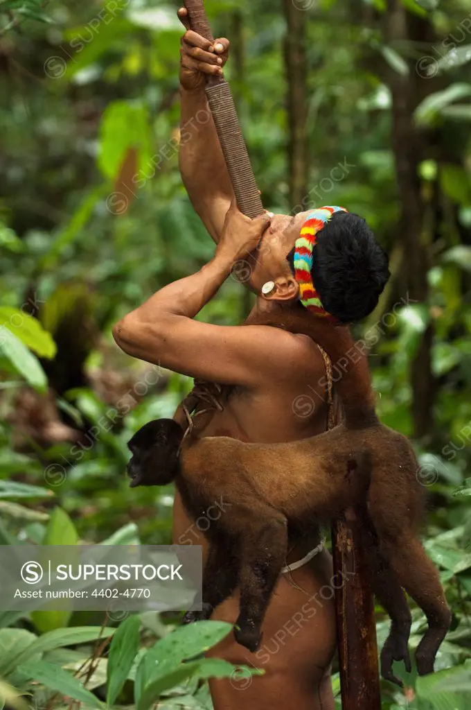 Huaorani Indian, Tage Kaiga, carrying  a woolly monkey he has shot using his blowgun. Gabaro Community, Yasuni National Park, Amazon rainforest, Ecuador, South America.