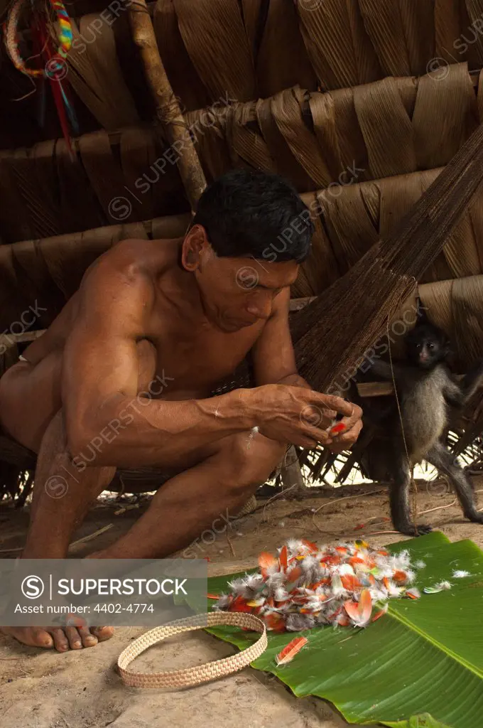 Huaorani Indian, Tage Kaiga, making feather crown using feathers from parrots, toucans and macaws. Gabaro Community, Yasuni National Park, Amazon rainforest, Ecuador, South America.