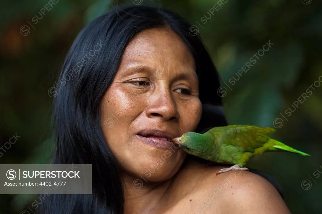 Huaorani Indian woman,Wenyena Baiwa, with her pet Cobalt-winged Parakeet (Brotogeris cyanoptera). Gabaro Community, Yasuni National Park, Amazon rainforest, Ecuador, South America.