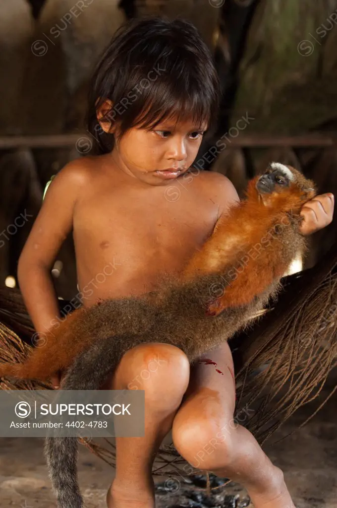 Huaorani Indian child holding hunted Dusky Titi Monkey (Callicebus moloch). Gabaro Community, Yasuni National Park, Amazon rainforest, Ecuador, South America.