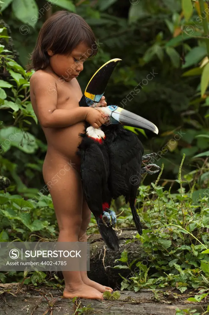 Huaorani Indian child holding hunted toucans. Gabaro Community, Yasuni National Park, Amazon rainforest, Ecuador, South America.