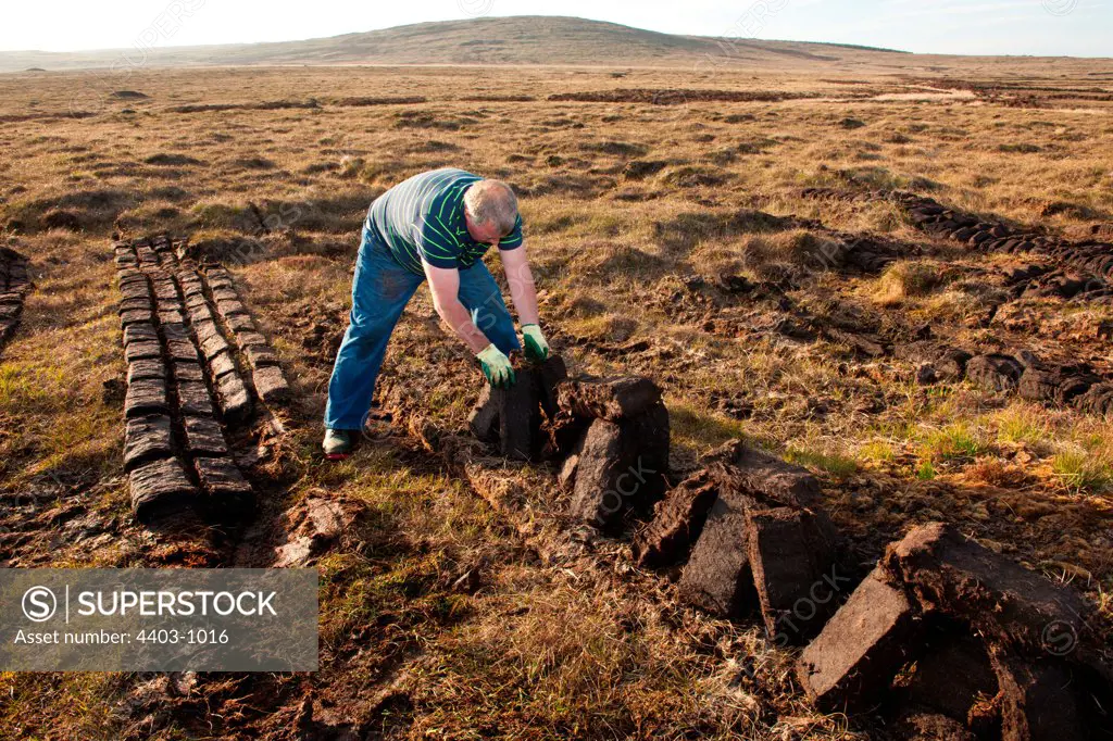 UK Scotland, North Uist, Digger stacking cut turfs to dry in sun