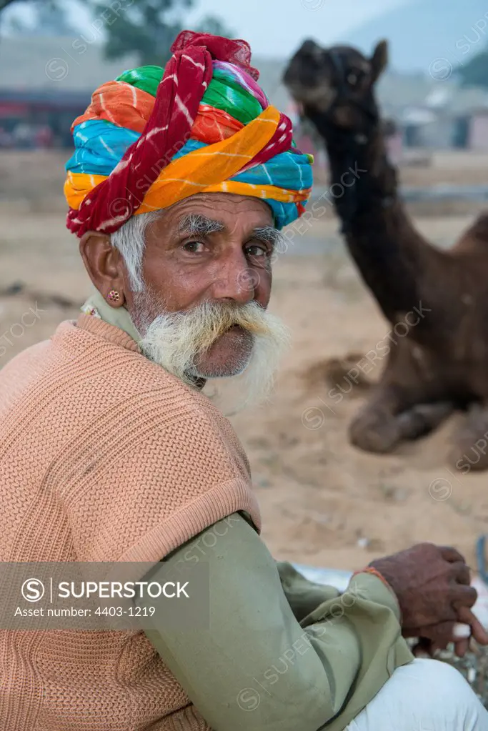 Pushkar Camel Fair camel trader with camel in background  Rajasthan India