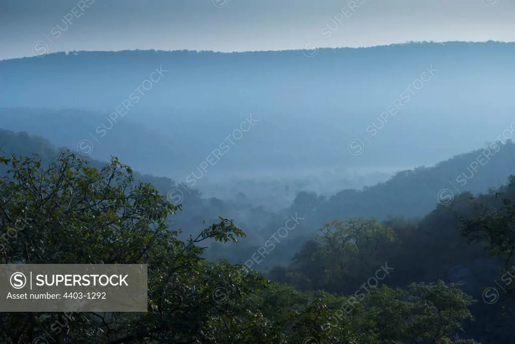 Sariska National Park wooded hillsides at first light Rajasthan India