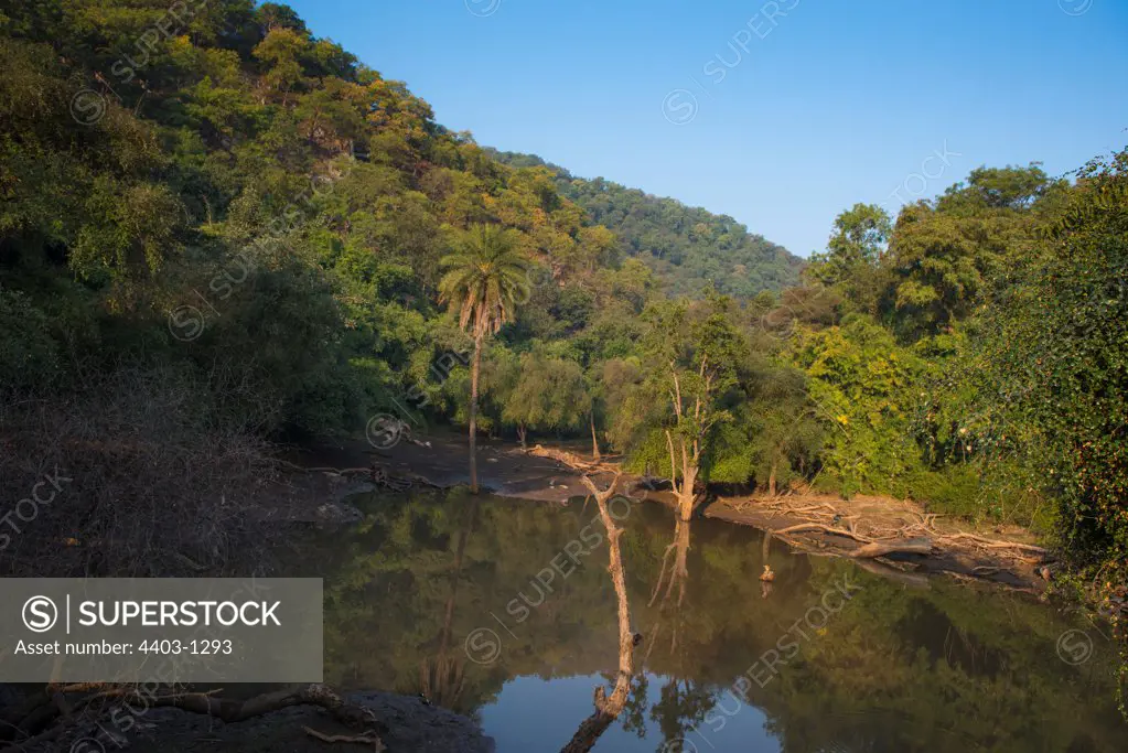 Sariska National Park waterhole in dry wooded habitat Rajasthan India
