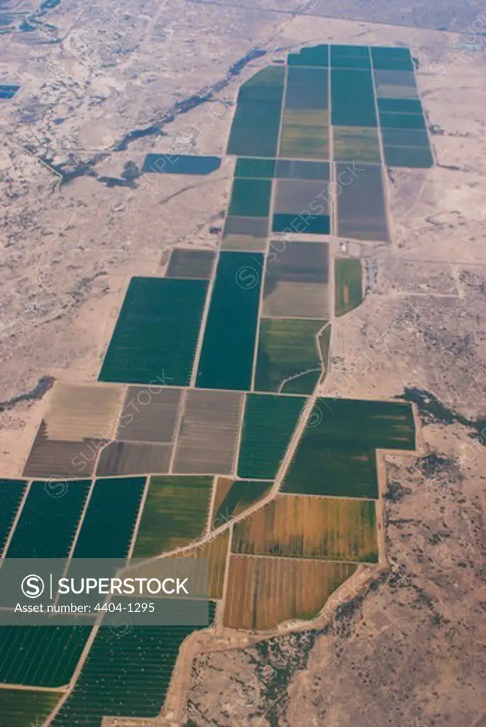 USA, Aerial view of large-scale agricultural developments