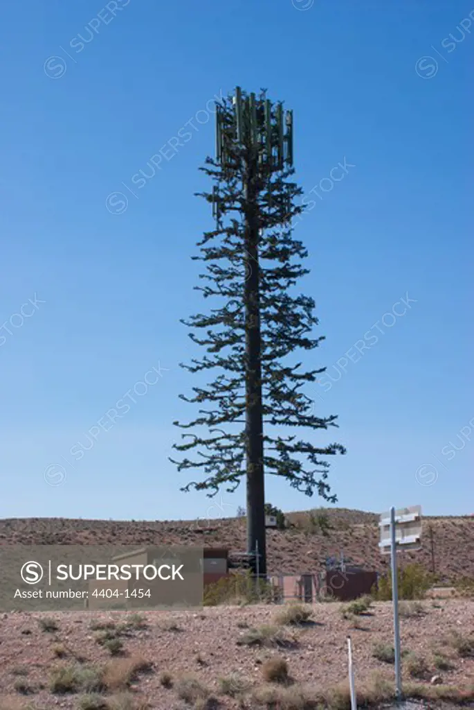 USA, Nevada, Las Vegas, Tree-shaped mobile phone mast near Las Vegas