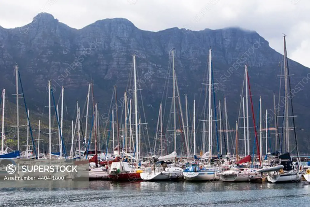 South Africa, near Cape Town, Yachts in Hout Bay