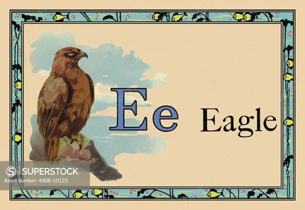 Eagle, Animal Alphabet