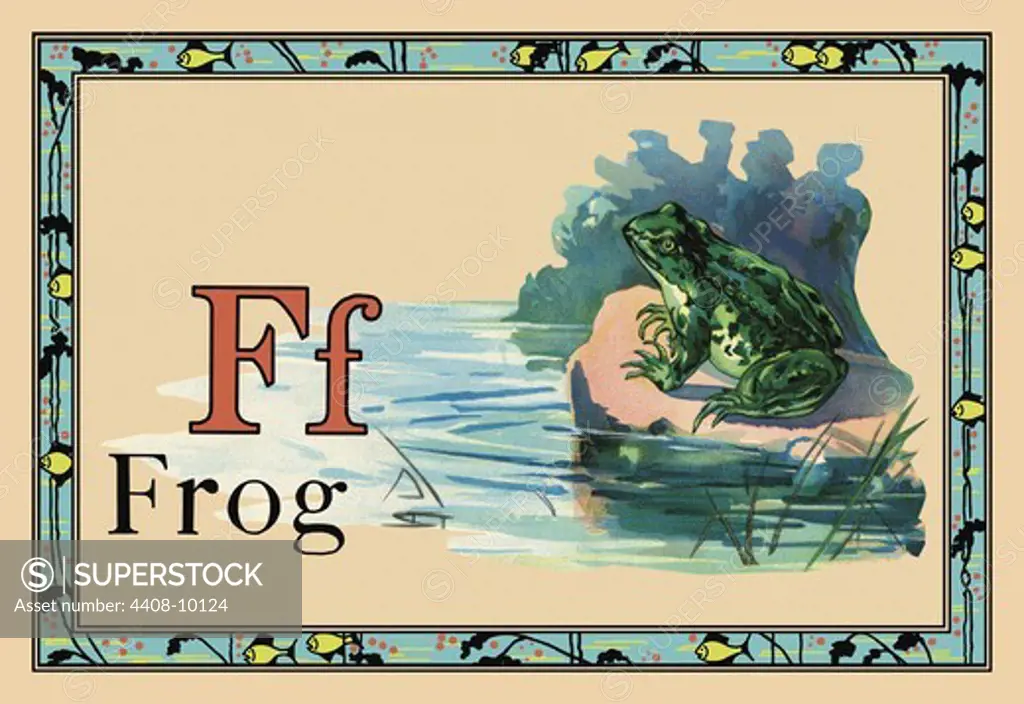 Frog, Animal Alphabet