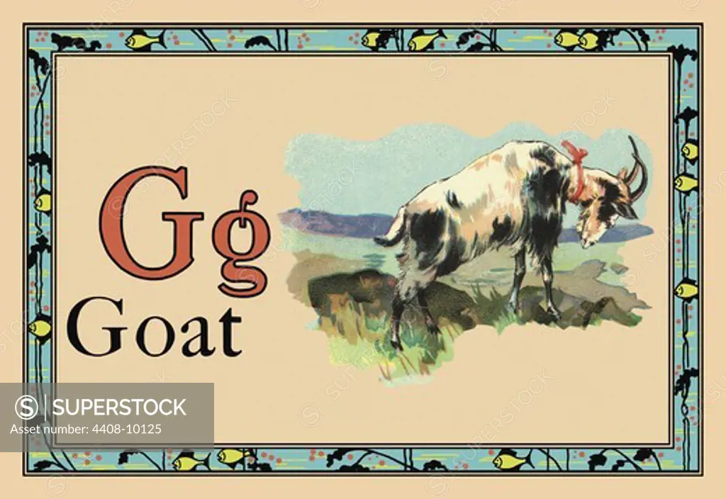 Goat, Animal Alphabet