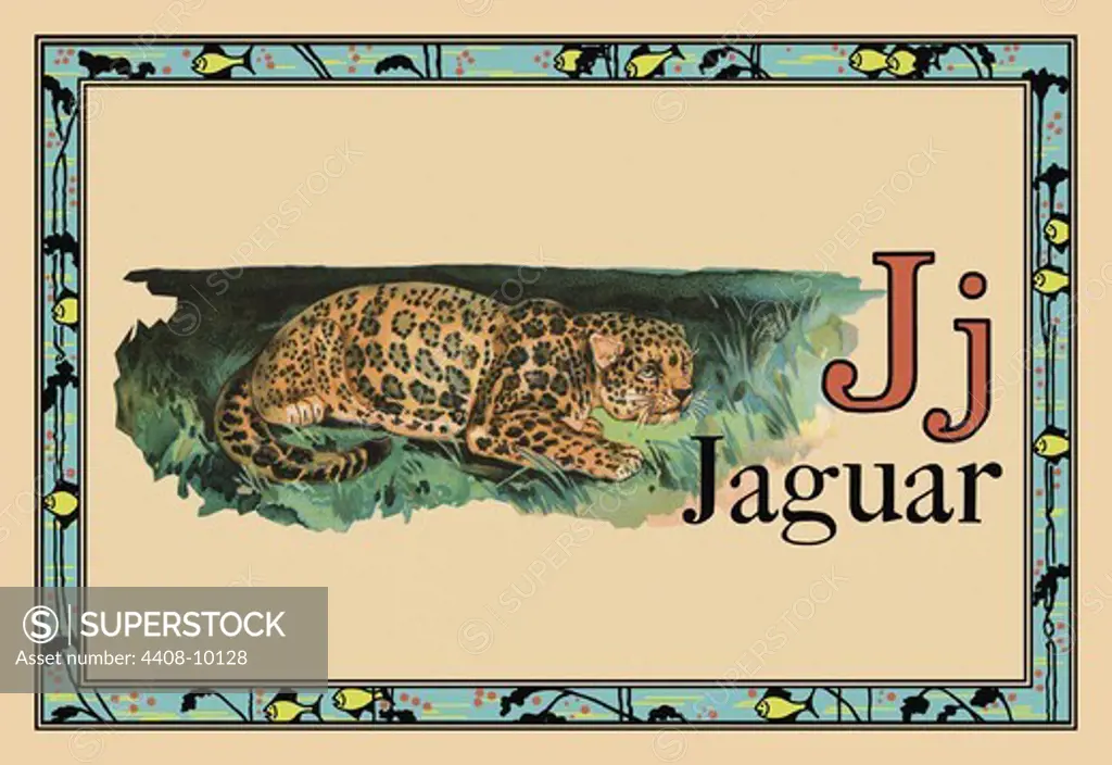 Jaguar, Animal Alphabet