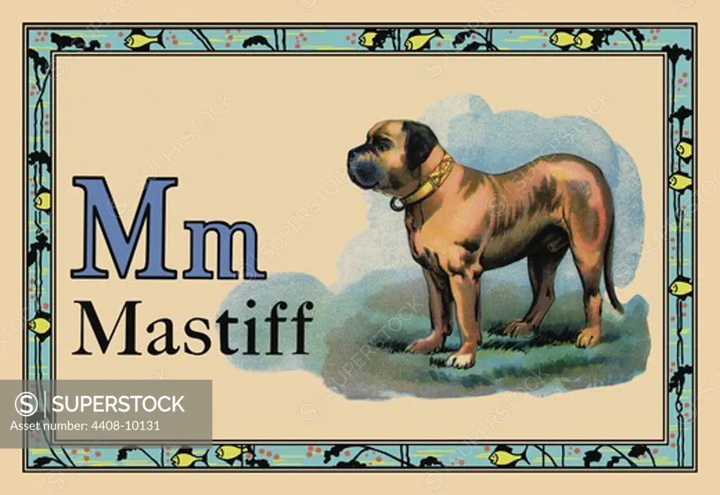Mastiff, Animal Alphabet