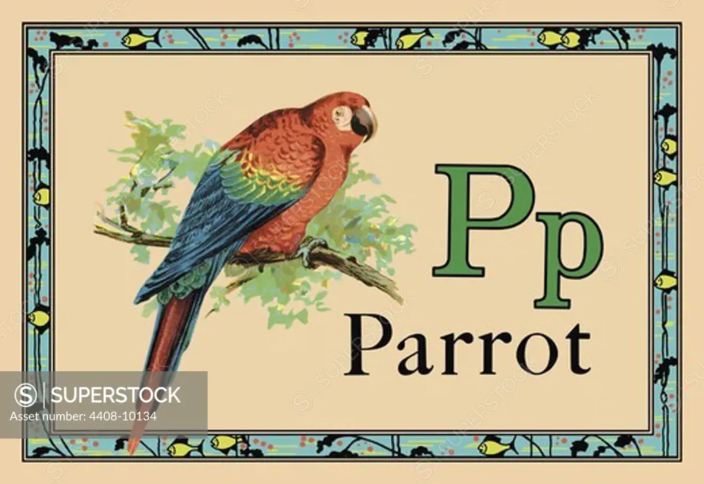 Parrot, Animal Alphabet