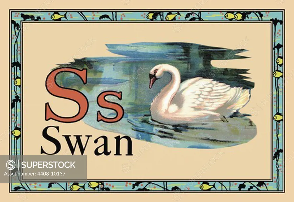 Swan, Animal Alphabet