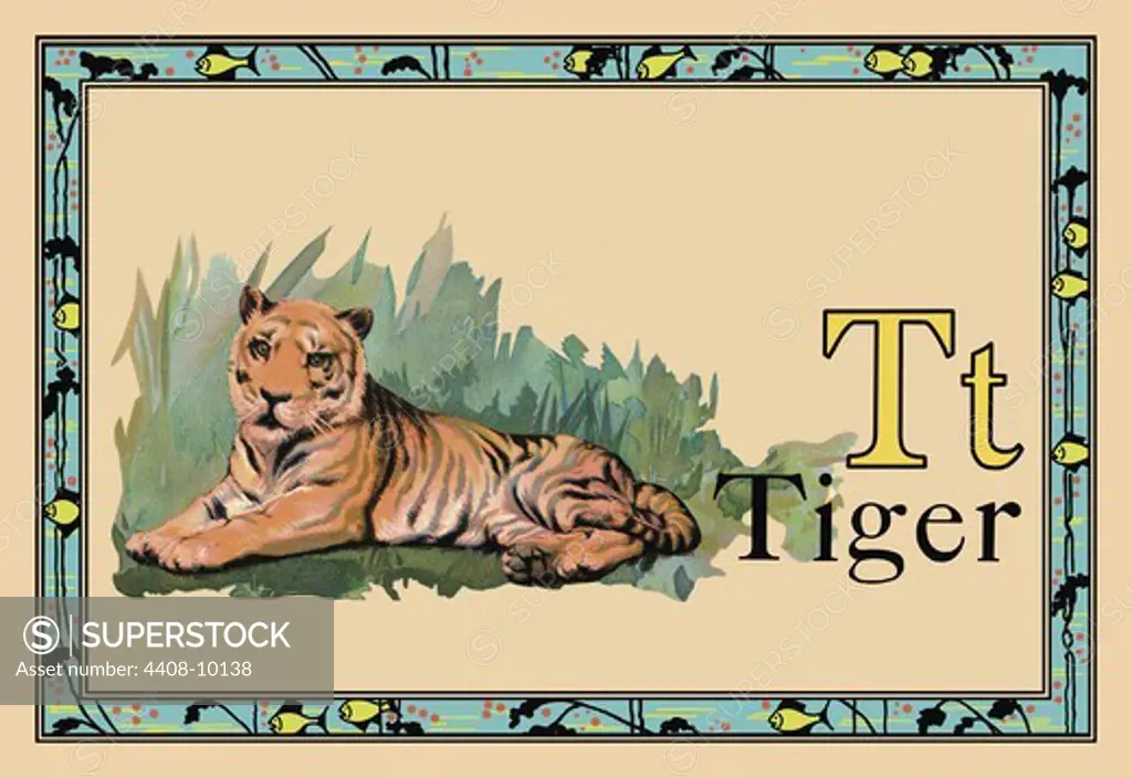 Tiger, Animal Alphabet
