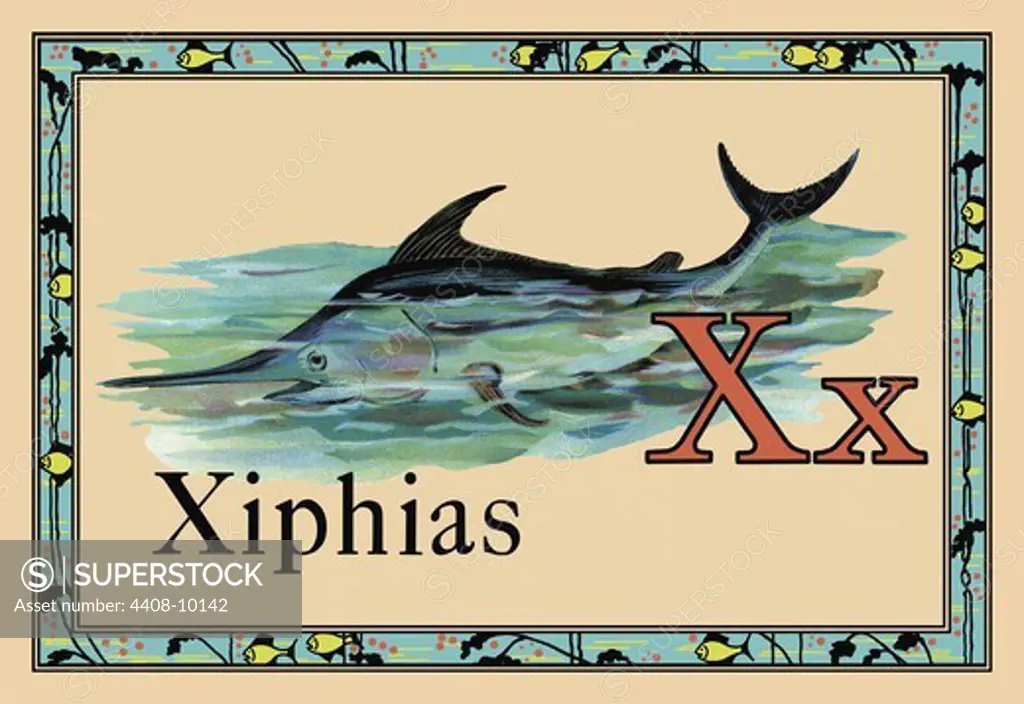 Xiphias, Animal Alphabet