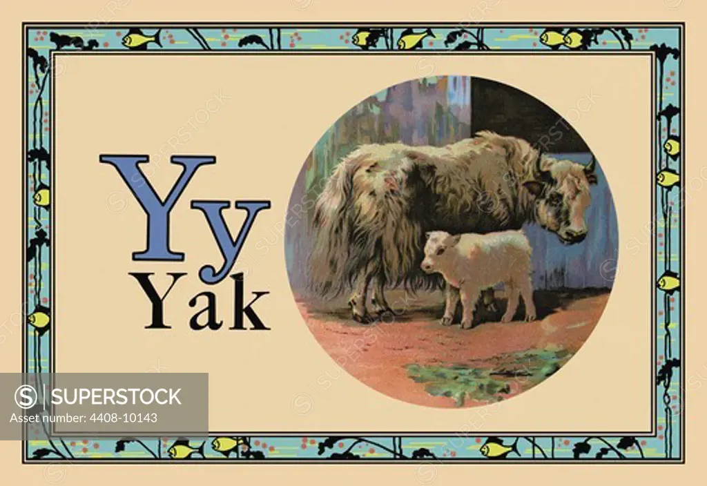 Yak, Animal Alphabet