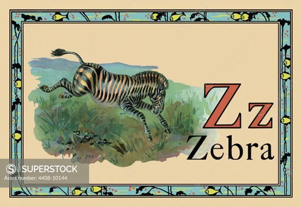 Zebra, Animal Alphabet
