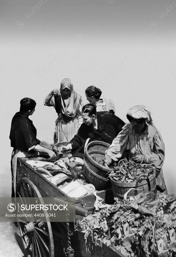 Shopping for Fish and Vegetables, New York City, New York