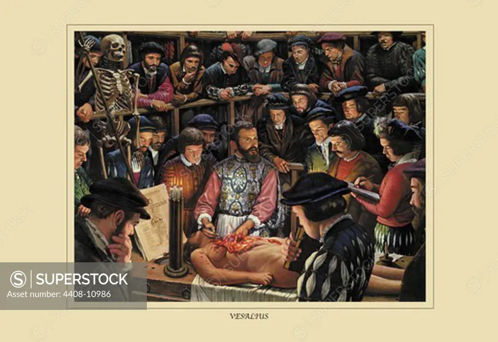 Vesallus, Medical - History
