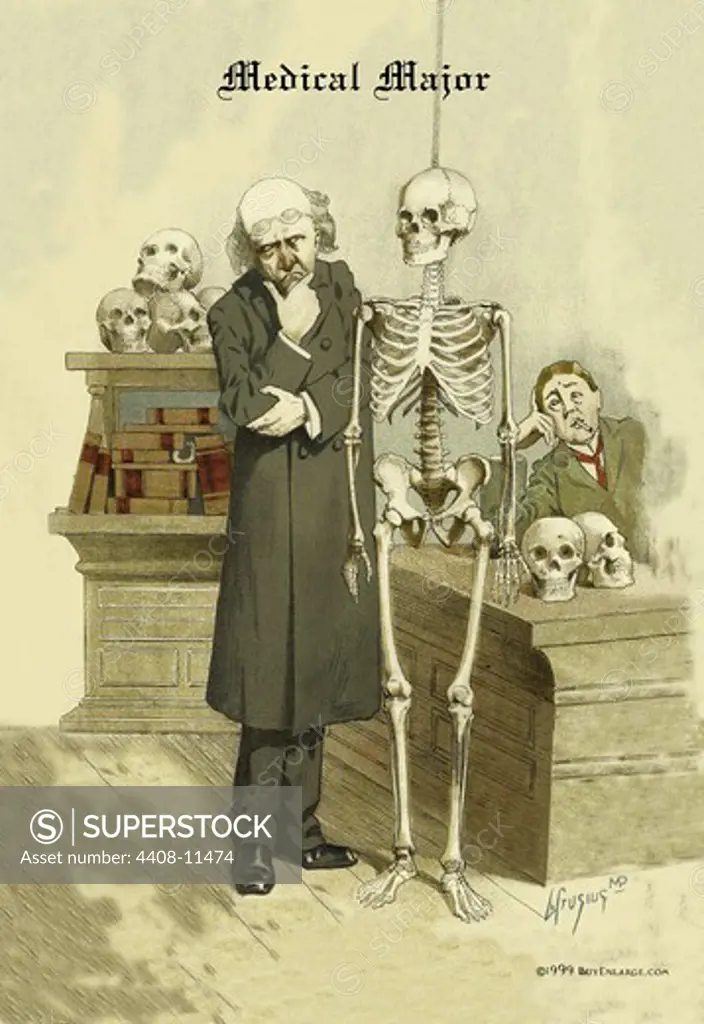 Medical Major, Skeletons - Academia