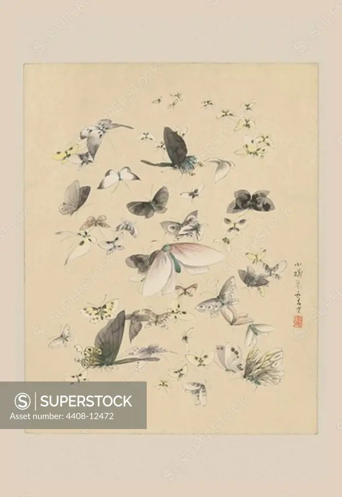 Butterflies 2, Japanese Prints