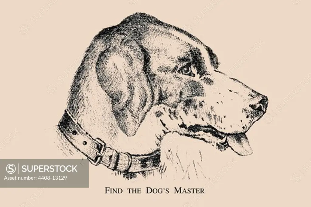 Find the Dog's Master, Puzzles & Optical Illusions