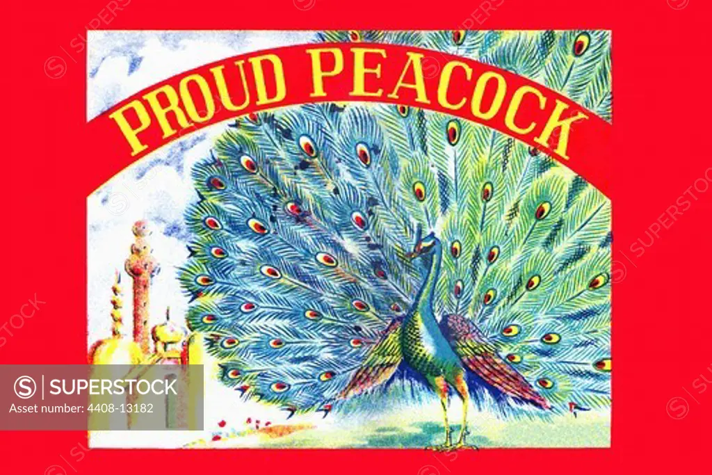 Proud Peacock, Vintage Toy Box Art