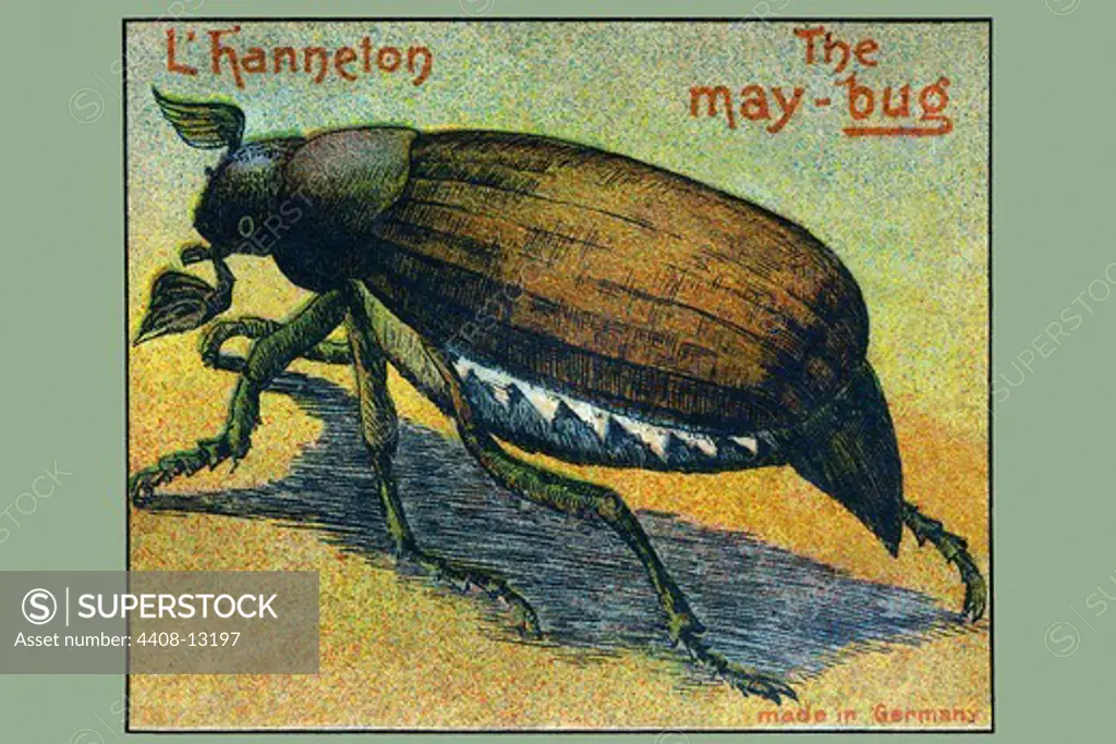 May Bug ""L'hanneton"", Vintage Toy Box Art