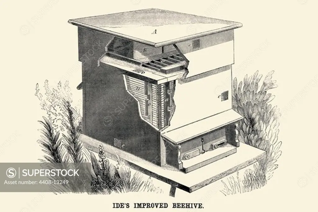 Ide's Improved Beehive, Industrial America - Invention