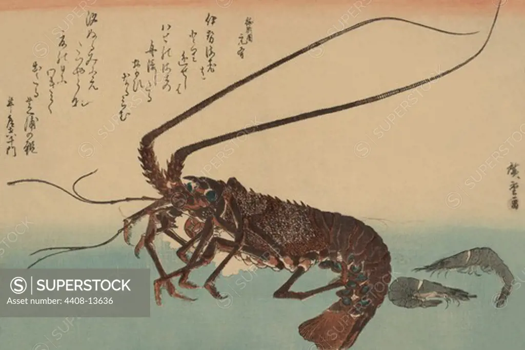 Shrimp and lobster (Ise ebi to shiba ebi), Japanese Prints - Hiroshige