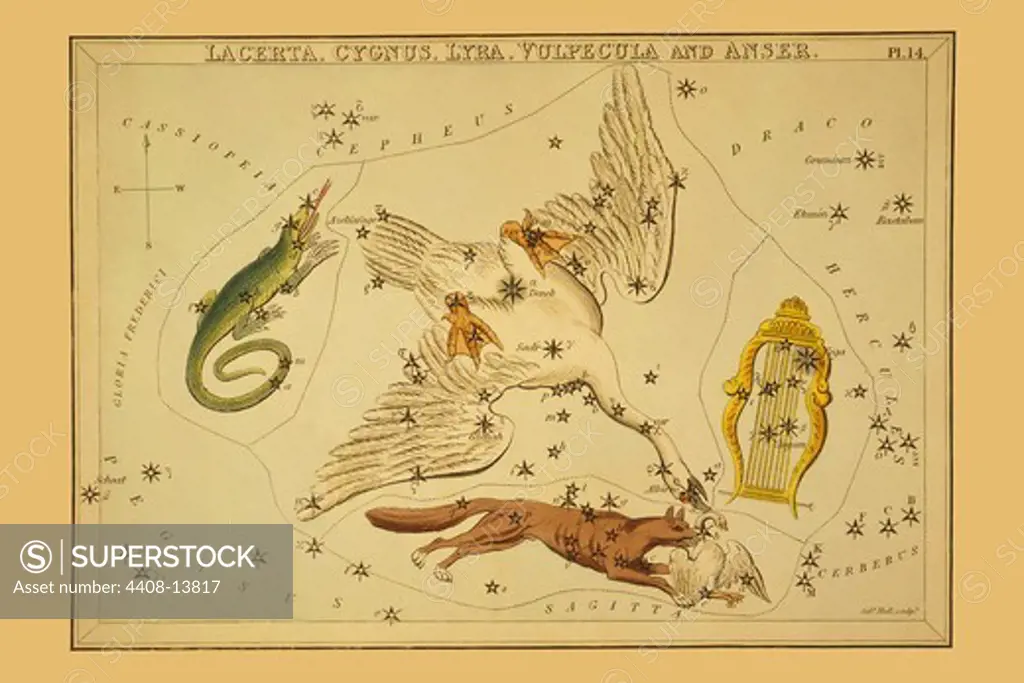 Lacerta, Cygnus, Lyra, Vulpecula and Anser, Celestial & Astrological Charts