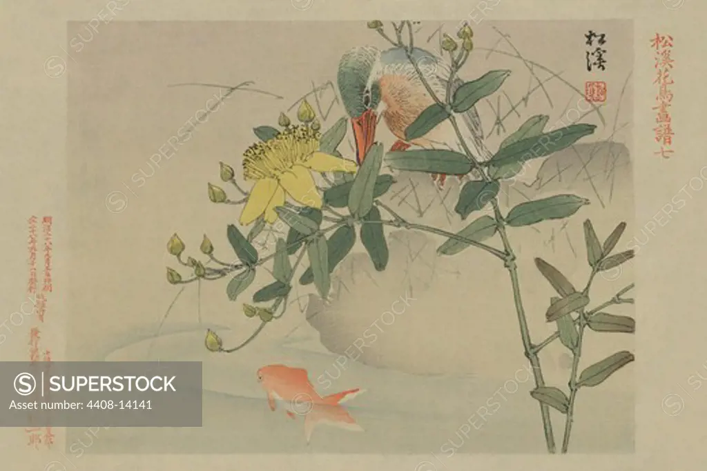 Kingfisher and Goldfish in Pond, Japanese Prints - Nature