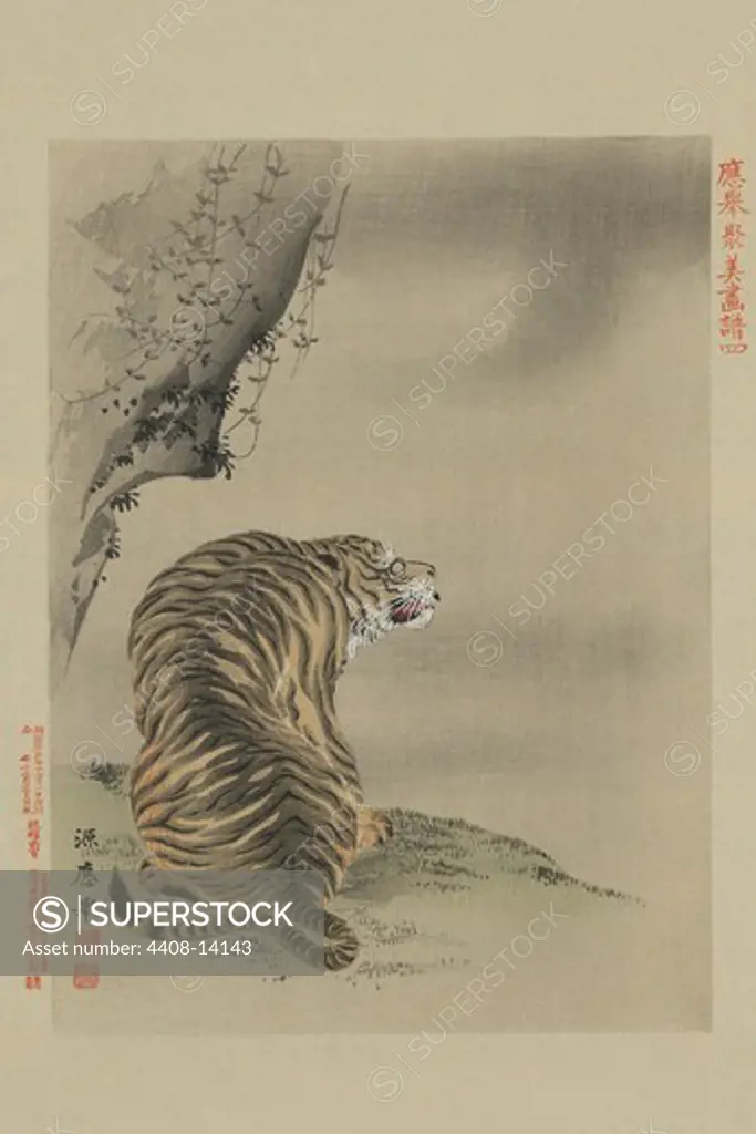 Tiger, Japanese Prints - Nature