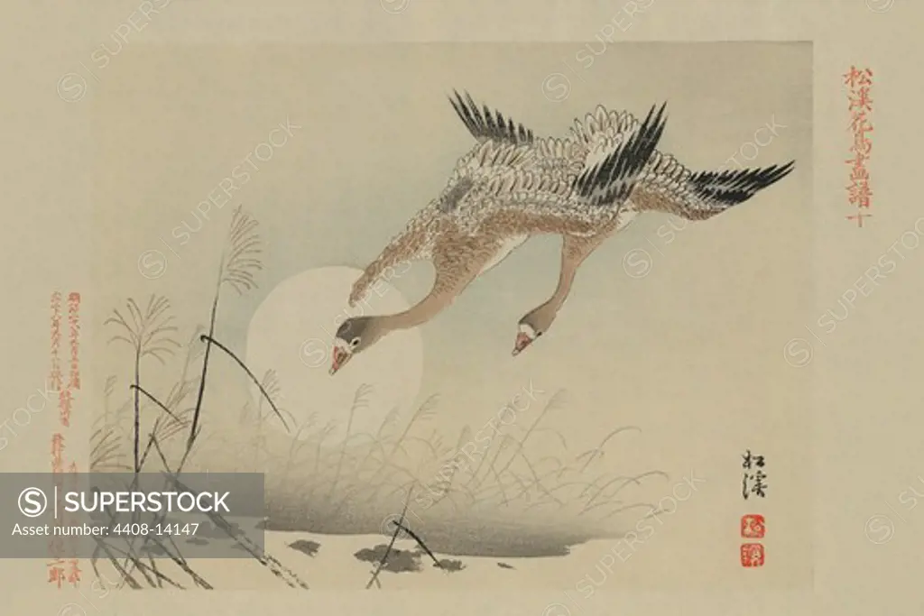 Flying Cranes, Japanese Prints - Nature