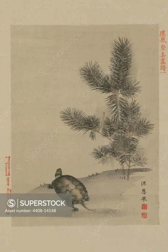 Turtle, Japanese Prints - Nature