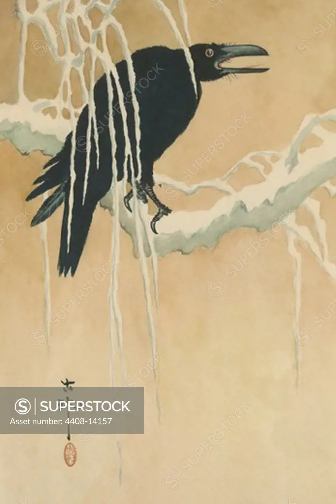 Blackbird in snow, Japanese Prints - Nature