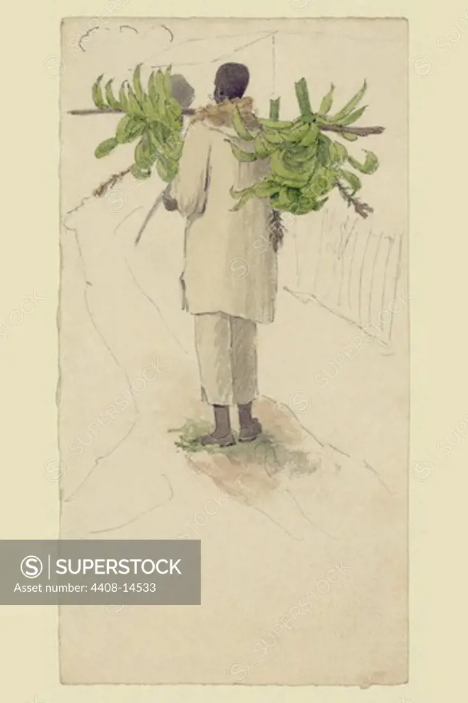 Negro man carrying plantains on pole, African-Americans