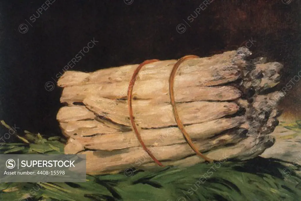 Asparagus , Fine Art