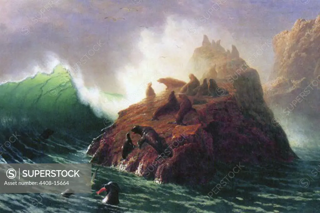 Seal Rock, California , Fine Art