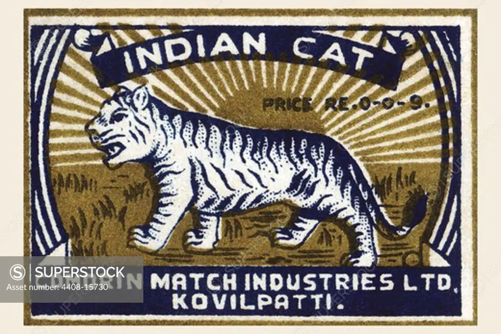 Indian Cat, The Big Cats - Lions, Tigers, Leopards etc.