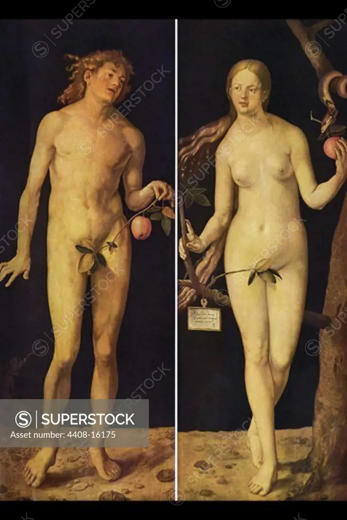 Adam and Eve   , Fine Art