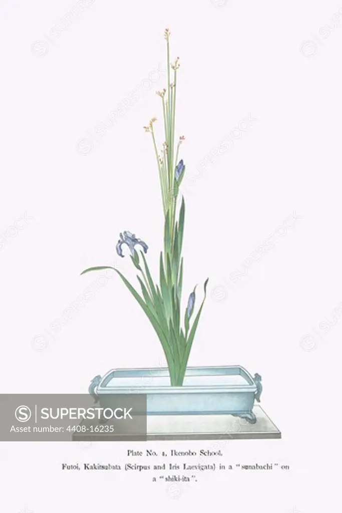 Futoi, Kakitsubata (Scirpus & Iris Laevigata) in a Sunabachi, Ikebana