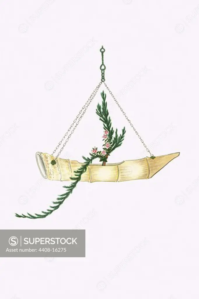 Ibuki & Nichinichi So (Cypress and Lochnera Rosea) in a suspended Boat Shaped Bamboo Vase, Ikebana