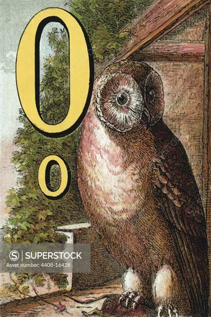 O for the Owl that sees in the Dark, The Alphabet