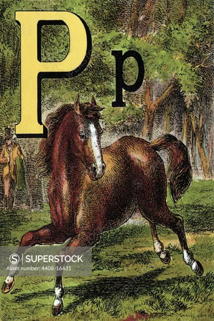 P for the Pony that plays in the Park, The Alphabet