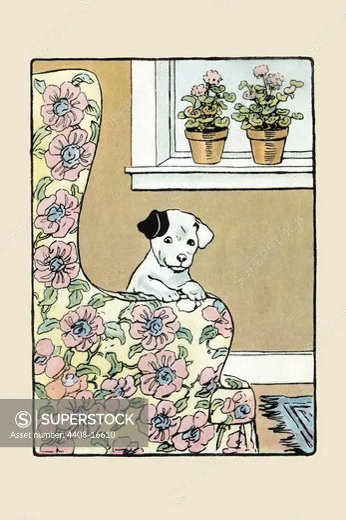 Lounge Chair Puppy, Victorian Children's Literature