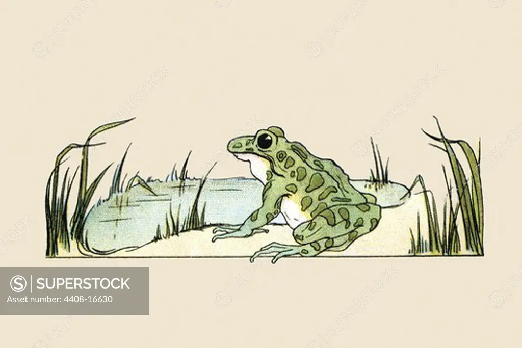 Pond Frog, Victorian Children's Literature
